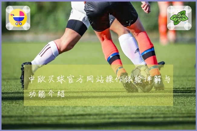 中欧买球官方网站操作体验详解与功能介绍