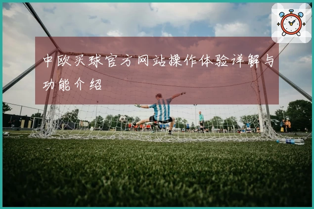 中欧买球官方网站操作体验详解与功能介绍