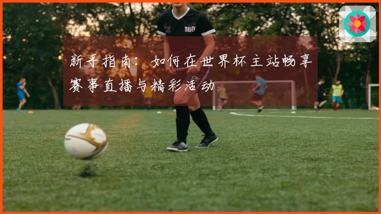 新手指南：如何在世界杯主站畅享赛事直播与精彩活动