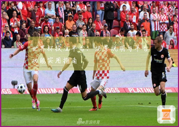 世界杯投注平台：场景说明与平台功能实用指南